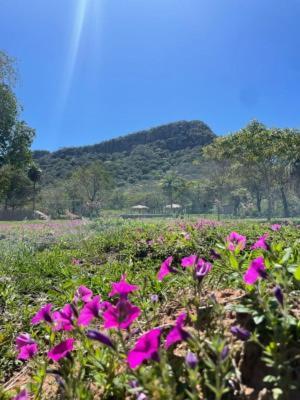 Posada San Miguel Paraguari Luaran gambar